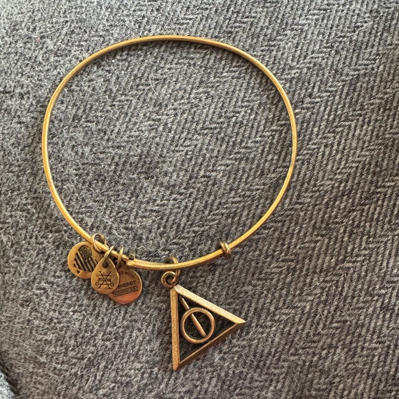 Harry Potter Alex and Ani Bracelet - Picture 1 of 1